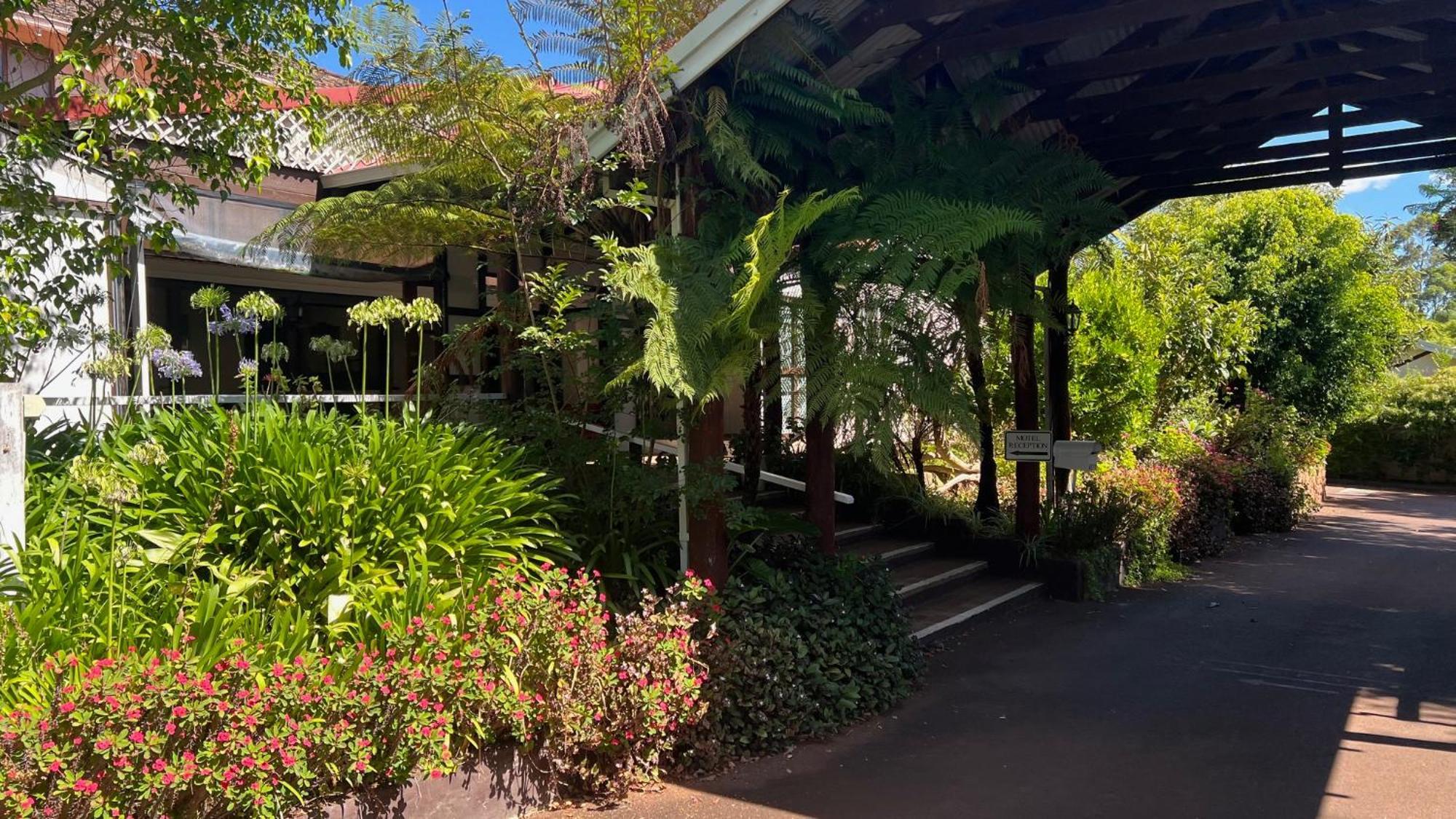 Karri Forest Motel Pemberton Extérieur photo